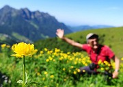 24 Distese fiorite di Trollius europaeus (Botton d'oro) con vista in Alben